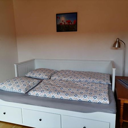 Appartement Et Terrasse Privee Ingolsheim Ngoại thất bức ảnh
