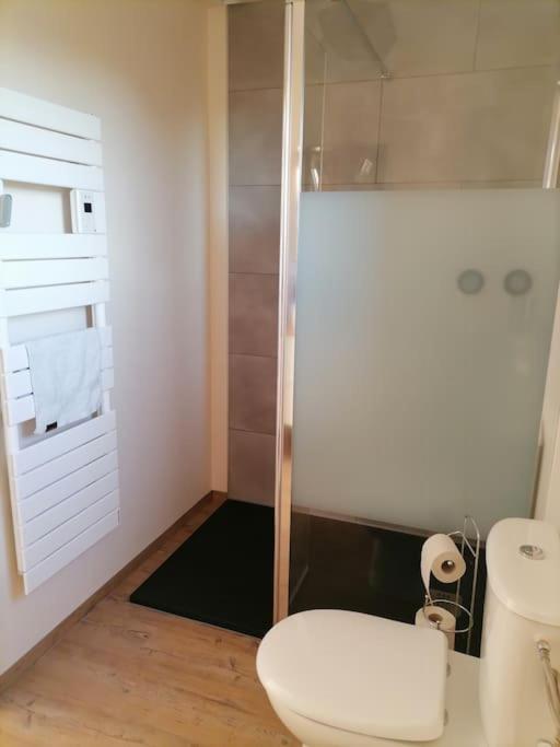 Appartement Et Terrasse Privee Ingolsheim Ngoại thất bức ảnh