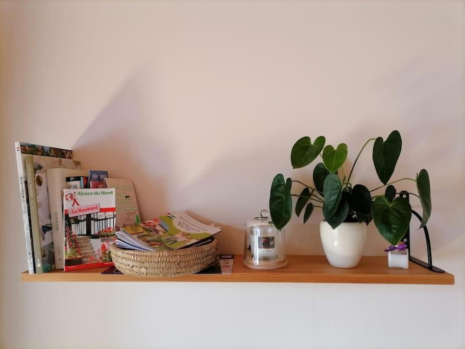 Appartement Et Terrasse Privee Ingolsheim Ngoại thất bức ảnh