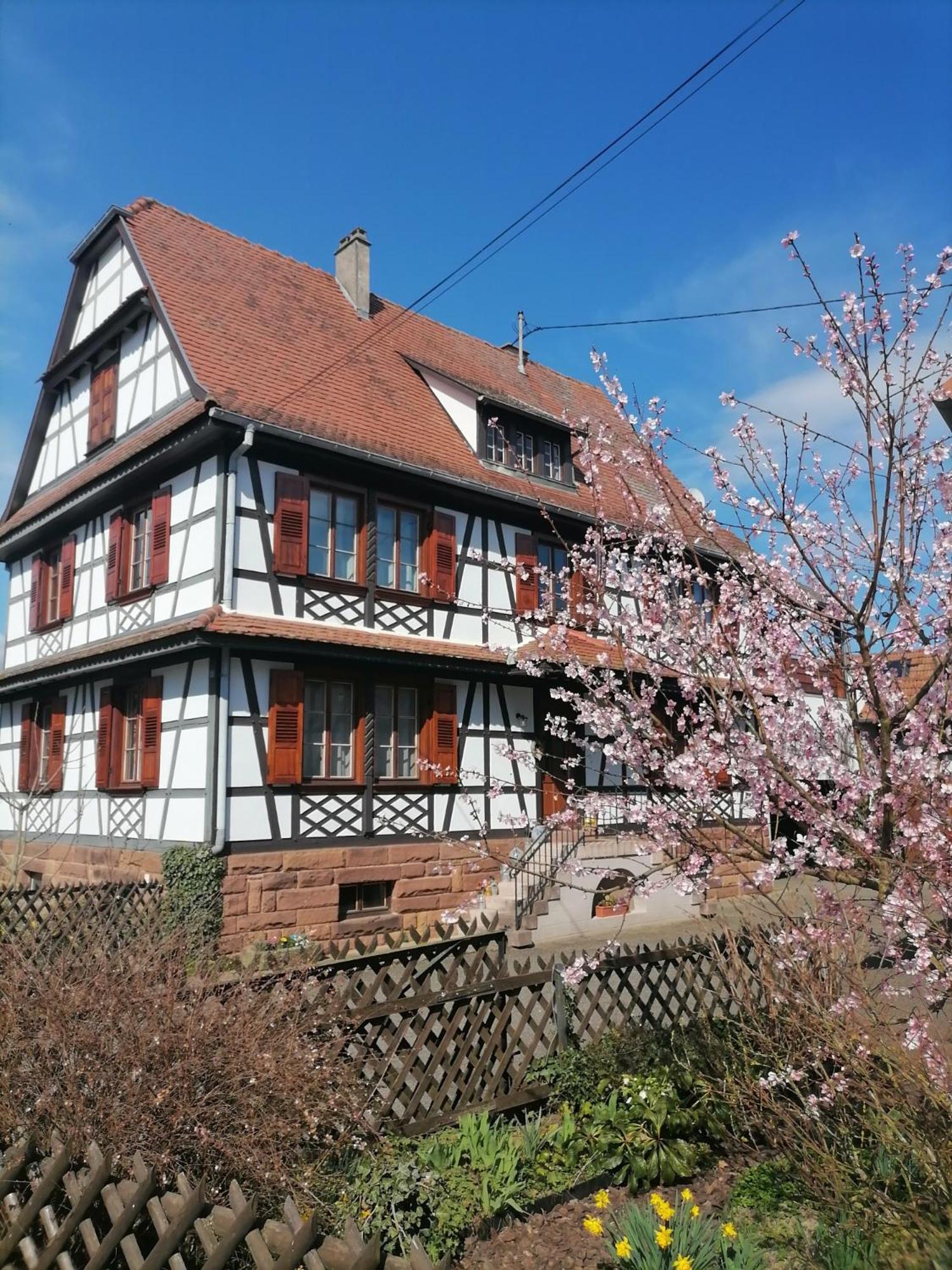 Appartement Et Terrasse Privee Ingolsheim Ngoại thất bức ảnh
